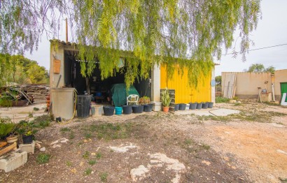 Reventa - Villa - Elche Pedanías - PEÑA DE LAS AGUILAS
