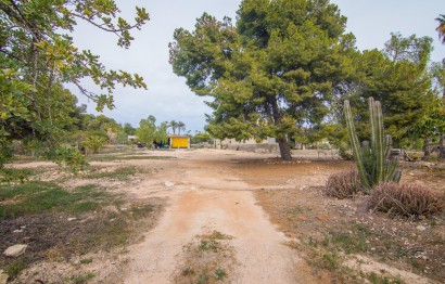 Reventa - Villa - Elche Pedanías - PEÑA DE LAS AGUILAS