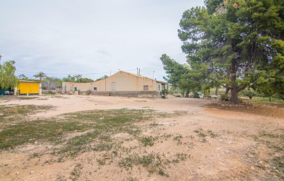Reventa - Villa - Elche Pedanías - PEÑA DE LAS AGUILAS