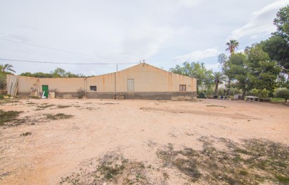 Reventa - Villa - Elche Pedanías - PEÑA DE LAS AGUILAS