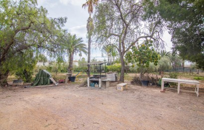 Reventa - Villa - Elche Pedanías - PEÑA DE LAS AGUILAS