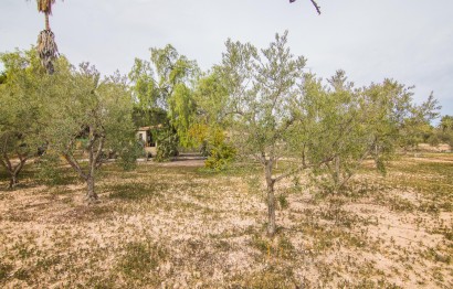 Reventa - Villa - Elche Pedanías - PEÑA DE LAS AGUILAS