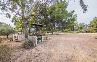 Reventa - Villa - Elche Pedanías - PEÑA DE LAS AGUILAS