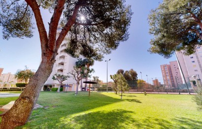 Reventa - Apartamento / piso - San Juan Alicante
