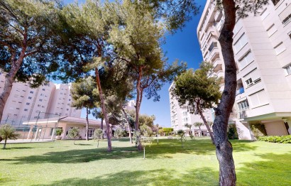 Reventa - Apartamento / piso - San Juan Alicante