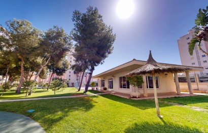 Reventa - Apartamento / piso - San Juan Alicante