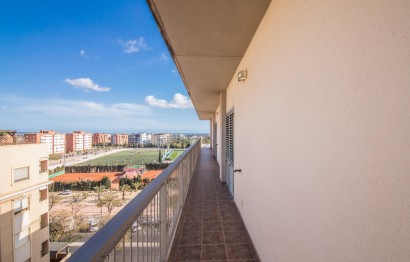 Reventa - Ático - Elche - Zona Deportiva-Nuevo Altabix