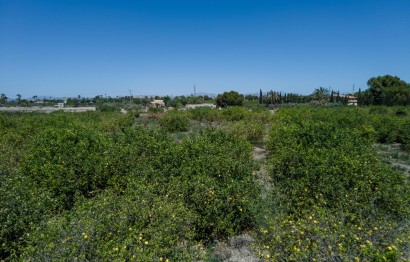 Reventa - Parcela / Terreno - Elche Pedanías - Las Bayas