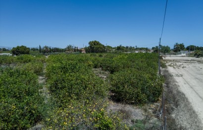 Reventa - Parcela / Terreno - Elche Pedanías - Las Bayas