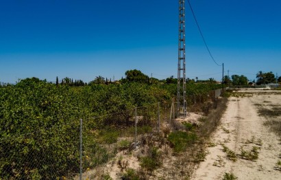 Reventa - Parcela / Terreno - Elche Pedanías - Las Bayas