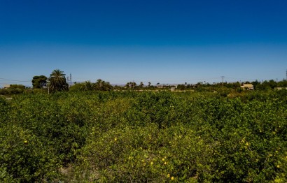Reventa - Parcela / Terreno - Elche Pedanías - Las Bayas