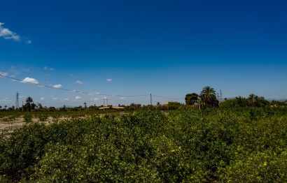 Reventa - Parcela / Terreno - Elche Pedanías - Las Bayas