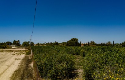 Reventa - Parcela / Terreno - Elche Pedanías - Las Bayas