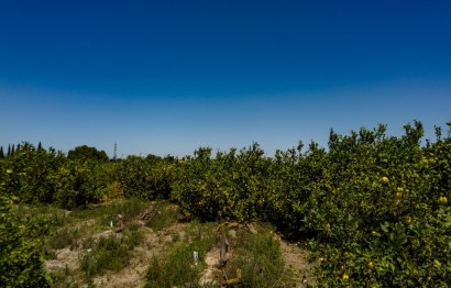 Reventa - Parcela / Terreno - Elche Pedanías - Las Bayas