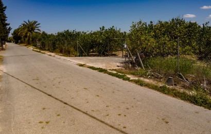 Reventa - Parcela / Terreno - Elche Pedanías - Las Bayas