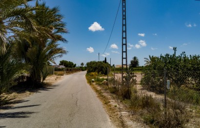 Reventa - Parcela / Terreno - Elche Pedanías - Las Bayas