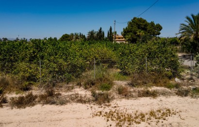 Reventa - Parcela / Terreno - Elche Pedanías - Las Bayas