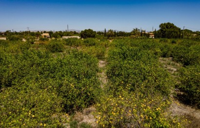 Reventa - Parcela / Terreno - Elche Pedanías - Las Bayas