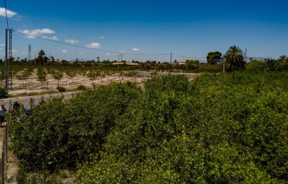 Reventa - Parcela / Terreno - Elche Pedanías - Las Bayas