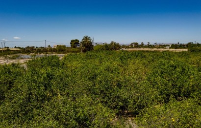 Reventa - Parcela / Terreno - Elche Pedanías - Las Bayas