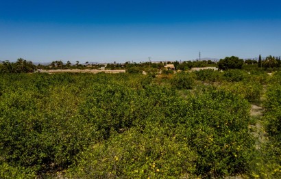 Reventa - Parcela / Terreno - Elche Pedanías - Las Bayas