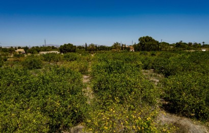 Reventa - Parcela / Terreno - Elche Pedanías - Las Bayas
