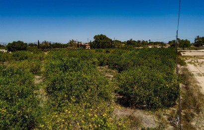 Reventa - Parcela / Terreno - Elche Pedanías - Las Bayas