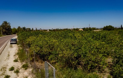Reventa - Parcela / Terreno - Elche Pedanías - Las Bayas