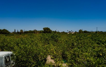 Reventa - Parcela / Terreno - Elche Pedanías - Las Bayas