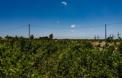 Reventa - Parcela / Terreno - Elche Pedanías - Las Bayas
