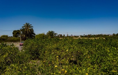 Reventa - Parcela / Terreno - Elche Pedanías - Las Bayas