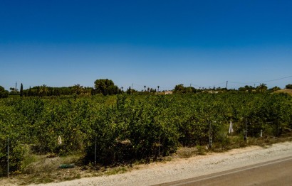 Reventa - Parcela / Terreno - Elche Pedanías - Las Bayas
