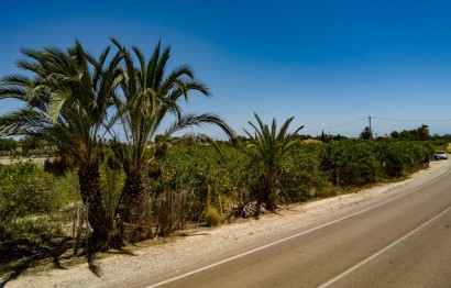 Reventa - Parcela / Terreno - Elche Pedanías - Las Bayas
