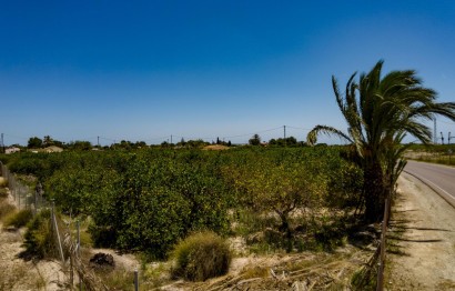 Reventa - Parcela / Terreno - Elche Pedanías - Las Bayas
