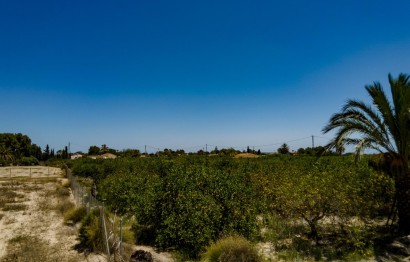 Reventa - Parcela / Terreno - Elche Pedanías - Las Bayas