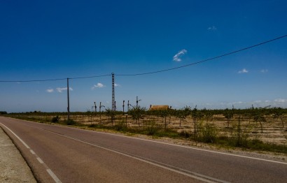 Reventa - Parcela / Terreno - Elche Pedanías - Las Bayas