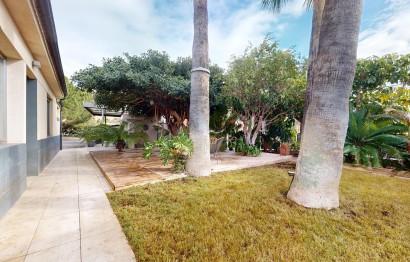 Reventa - Chalet - Aspe - Montesol