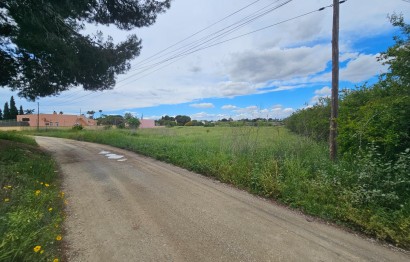 Reventa - Plot - Elche Pedanías - Valverde