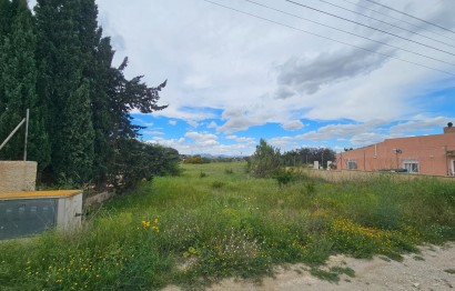 Reventa - Plot - Elche Pedanías - Valverde