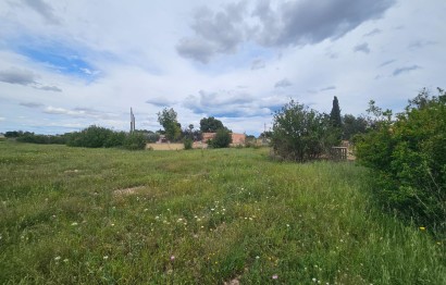 Reventa - Plot - Elche Pedanías - Valverde