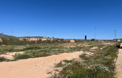 Reventa - Plot - Pinoso - A 1 km de pinoso