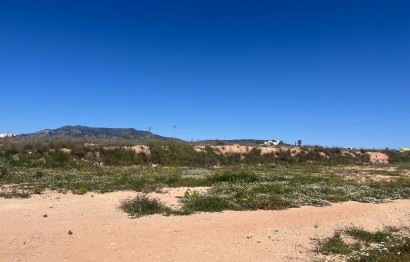 Reventa - Plot - Pinoso - A 1 km de pinoso