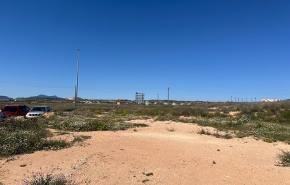 Reventa - Plot - Pinoso - A 1 km de pinoso
