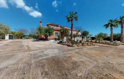 Reventa - Villa - Elche - Elche / Elx