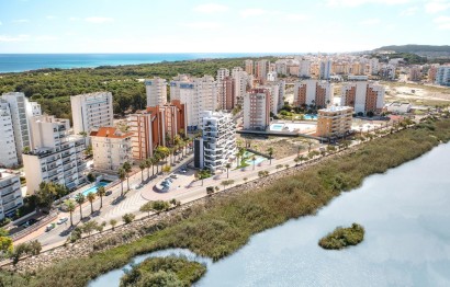 Obra nueva - Apartamento / piso - Guardamar del Segura - PUERTO