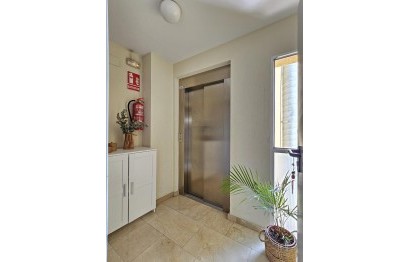 Reventa - Ático - San Vicente del Raspeig - Centro