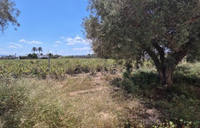 Reventa - Villa - Elche Pedanías - Las Bayas-Asprillas
