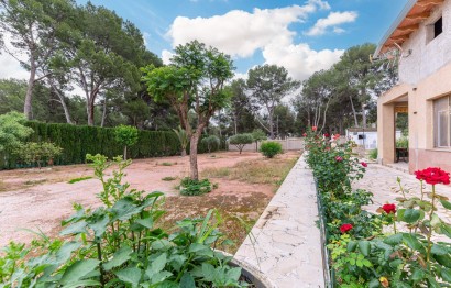 Reventa - Villa - Aspe - Ctra de hondon de las nieves