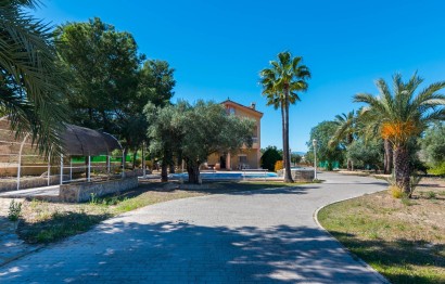Revente - Ville - Orihuela Costa - Urb. Montepinar