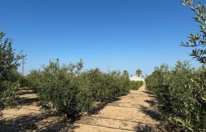 Revente - Ville - Elche Pedanías - La Hoya-Daimes-El Derramador